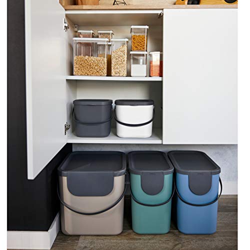 Rotho Albula Systèmes de tri des déchets 40l, Plastique sans BPA pour cuisine, 2 x 40L anthracite/bleu